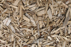 biomass boilers Torroble